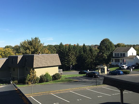 View out the kitchen window