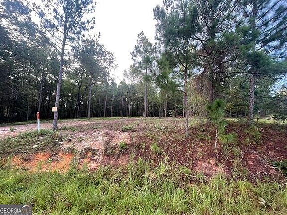 4th image of 6423 Carlton Oaks Rd