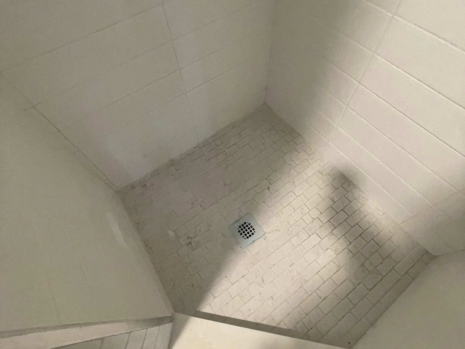 1 bed, 600 sqft, $1,800 — Photo 3