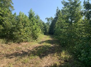 0 Little Texas Rd, Leoma, TN 38468