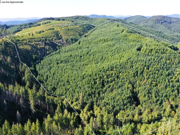 High Pass Rd #Tl3400, Junction City, OR 97448