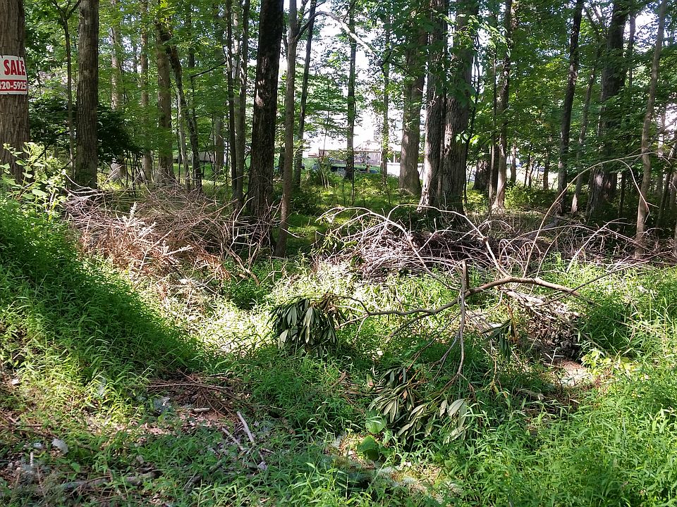 1st image of Long Wood Dr. Lot Land