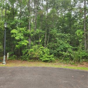 0 Compass Cir, Woodbine, GA, 31569