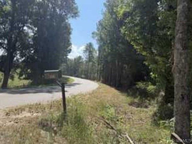 2nd image of 1341 Copeland Buckatunna Rd