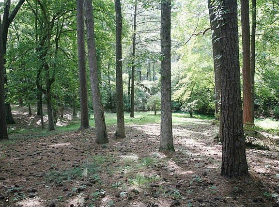 4th image of 471 Head Ave