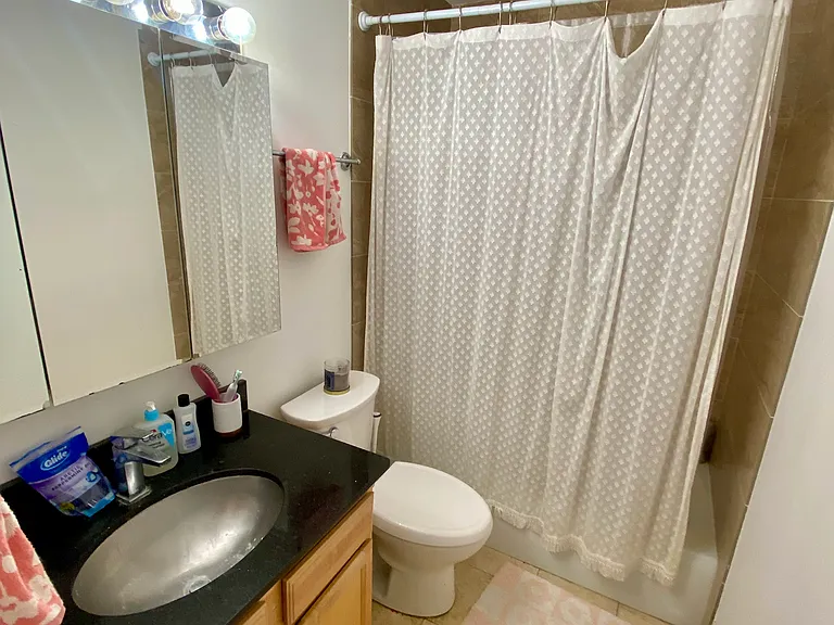 525 W Hawthorne Pl #2104 — Photo 10