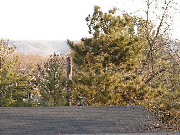 Looking out the bedroom window