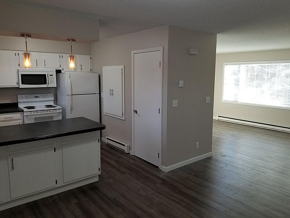 Spacious dining room/living room