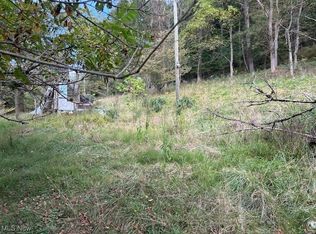 1990 Meathouse Fork Rd, Ravenswood, WV 26164