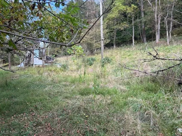 1990 Meathouse Fork Rd, Ravenswood, WV 26164
