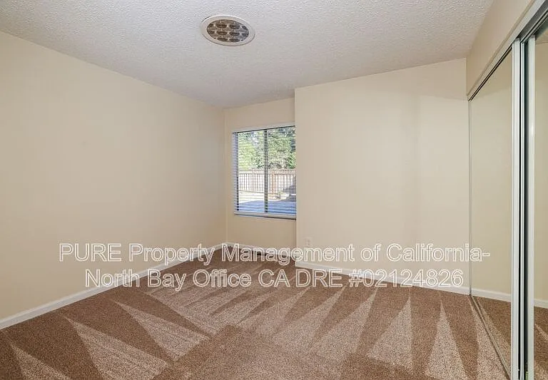 5336 Alyssum Ct — Photo 20