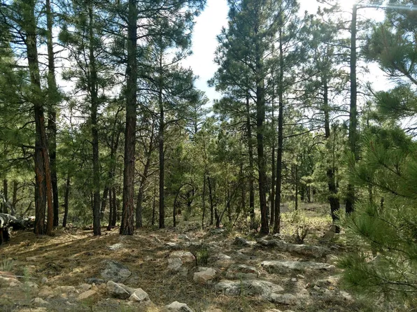 5617 Twin Oaks Loop, Happy Jack, AZ 86024