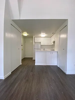 Rented by Voro NYC | media 29