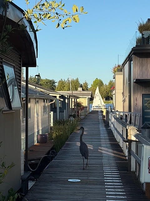 Welcoming party