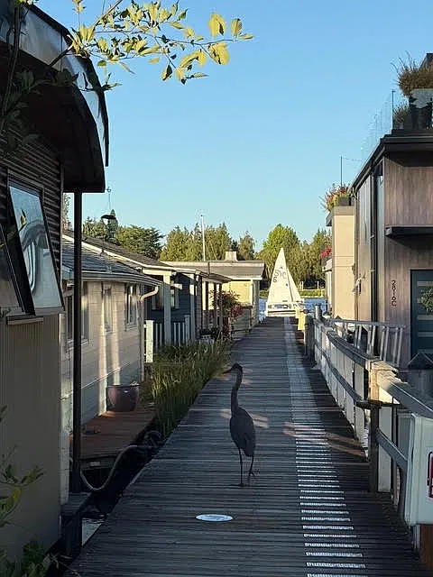 Welcoming party!