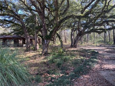 20084 Jones Ln, Ponchatoula, LA, 70454