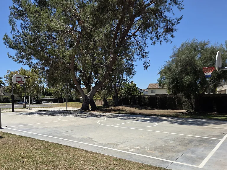 HOA 6_07212026