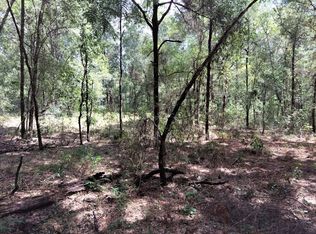 0 NE 11 Pl, Williston, FL 32696