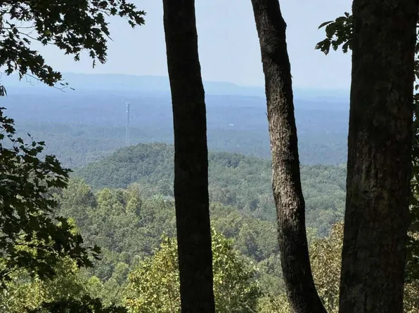 1005 Mayfield Ln NE, Ranger, GA 30734