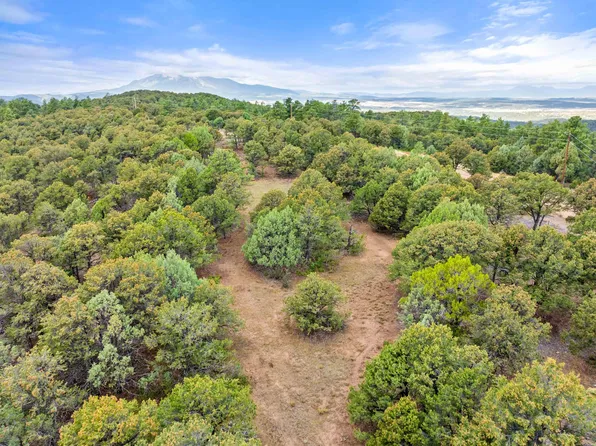Wapiti Dr, Walsenburg, CO 81089