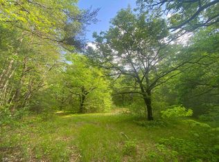 741 Harkins Rd TRACT A, Cleveland, GA 30528