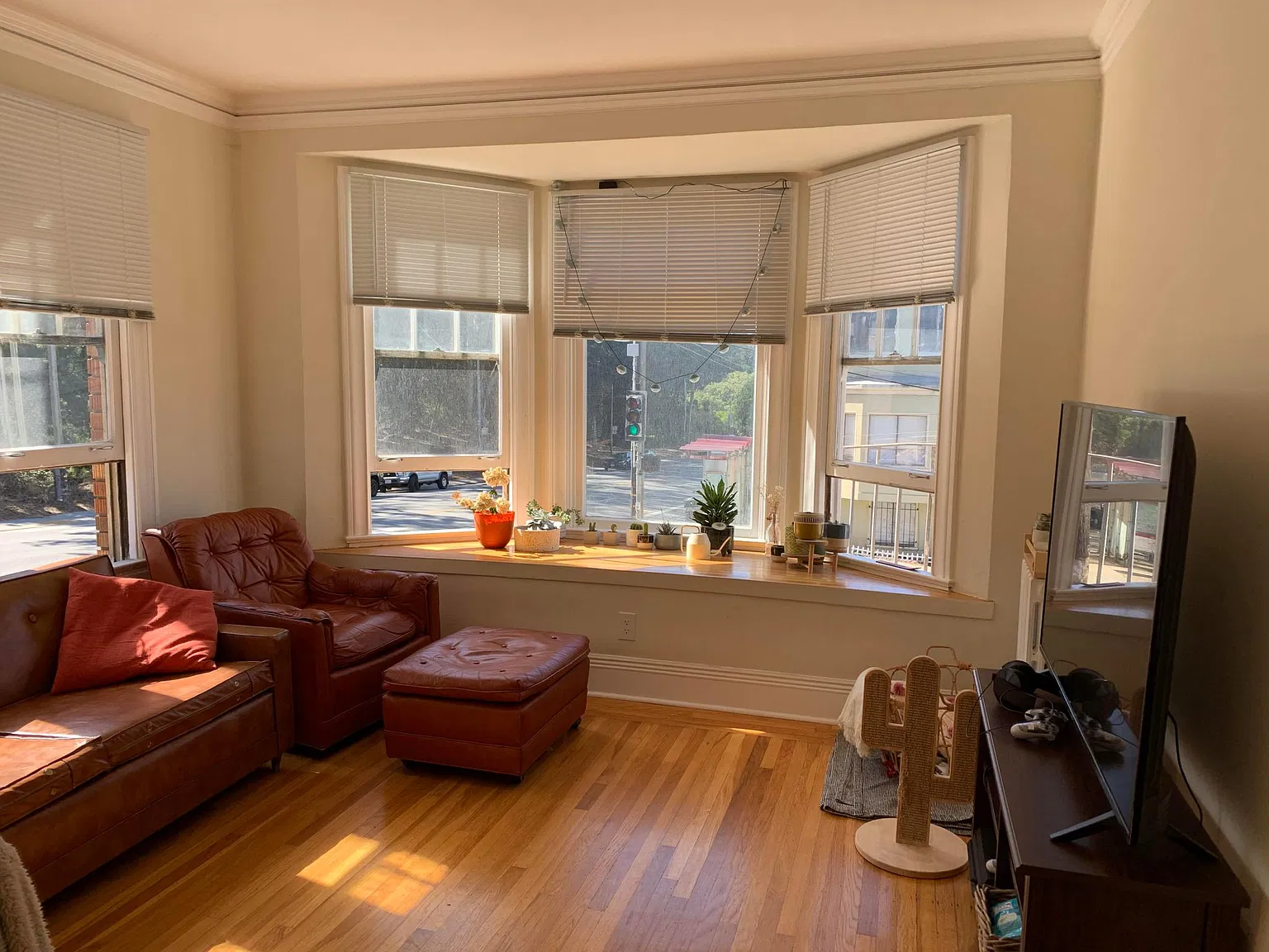 1 bed, 800 sqft, $3,775 — Photo 4