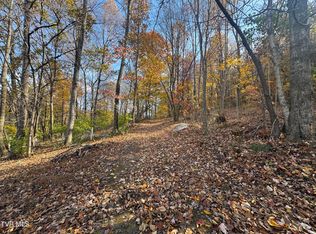 119 Rhododendron Ln, Johnson City, TN 37601