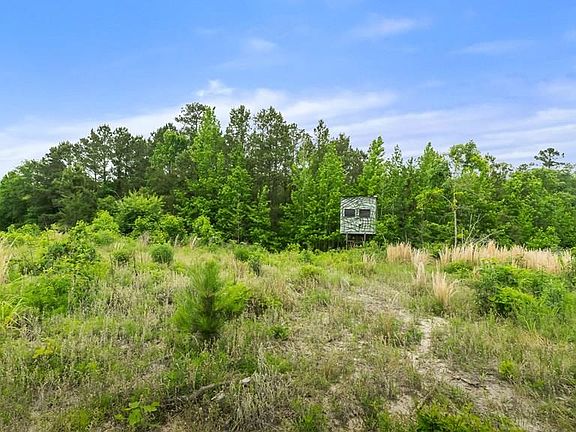3rd image of County Road 4110