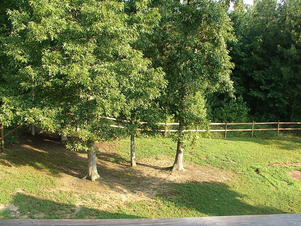 Back yard from Deck