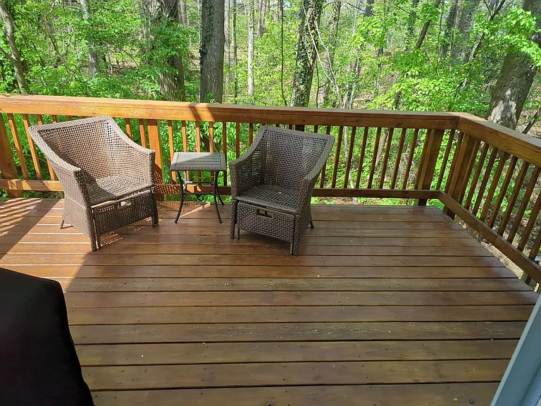 12284 Wye Oak Commons Cir — Photo 17
