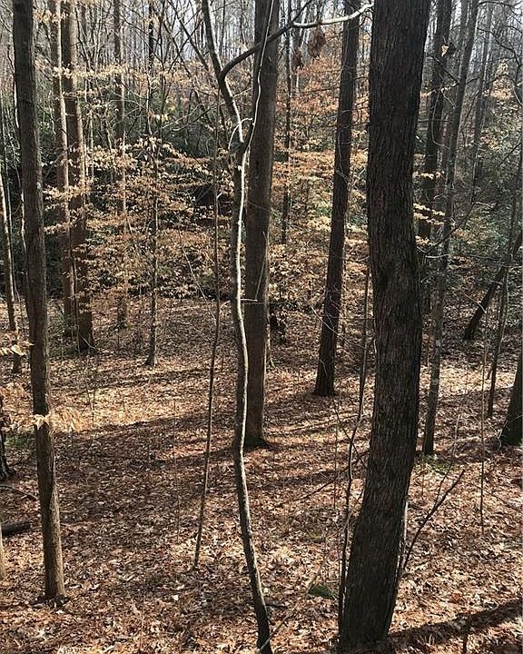 1st image of 4594 Knox Bridge Hwy