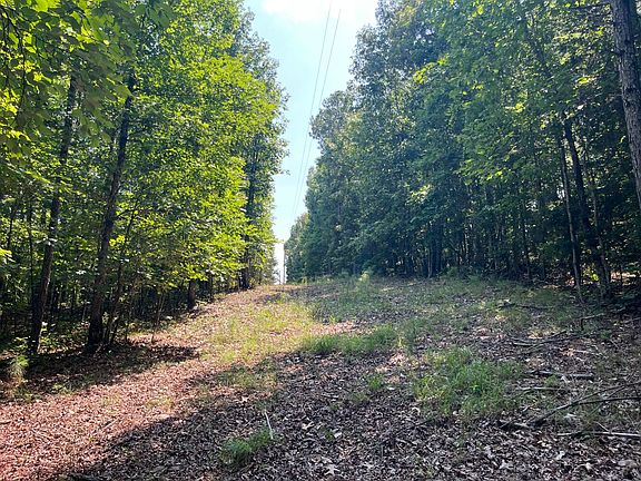 5th image of 0 Mount Willing Rd