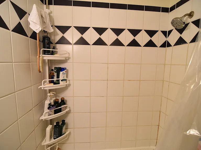 19 Craig Pl #3 — Photo 10