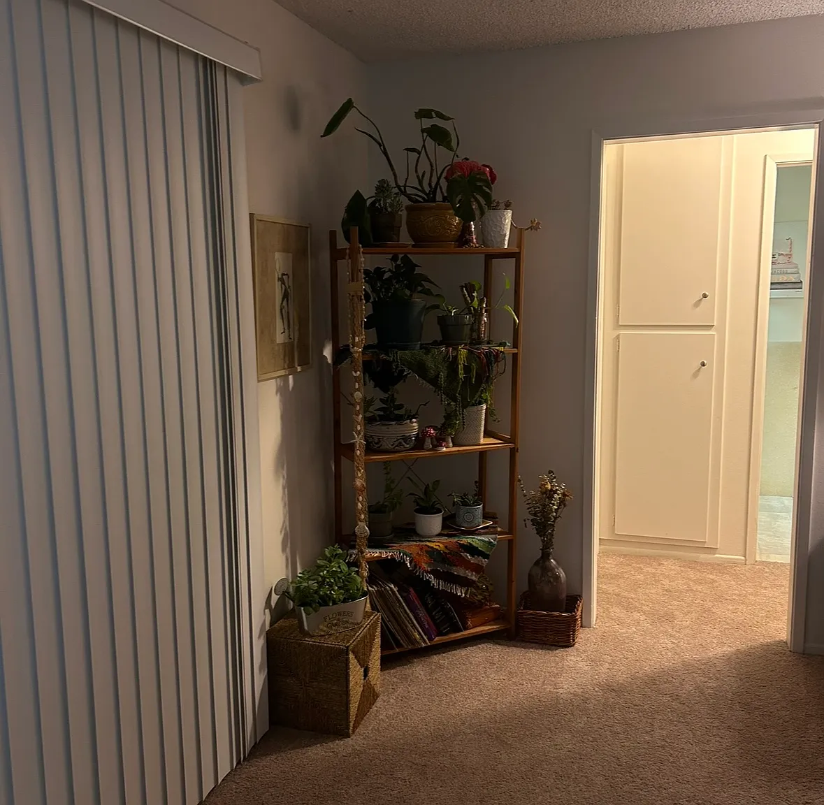 2 bed, 1200 sqft, $3,695 — Photo 3