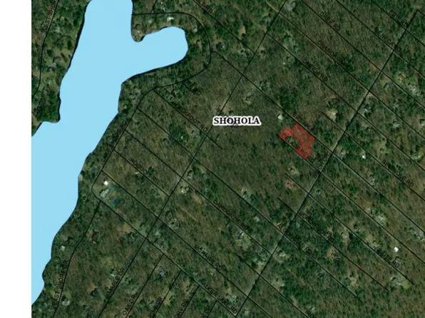 Neversink Rd, Shohola, PA 18458