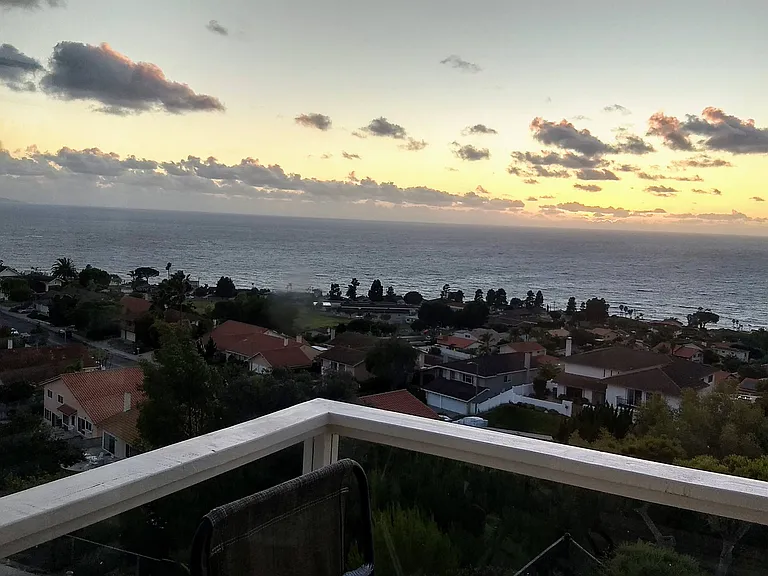 30333 Avenida De Calma — Photo 40