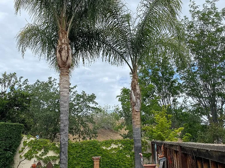 2647 Presidio Dr — Photo 25