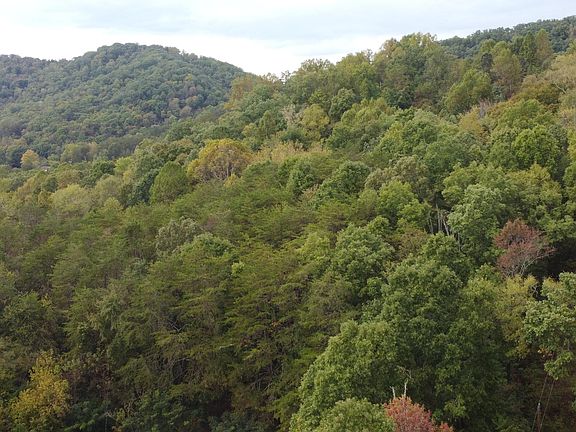 2nd image of 1335 Maynardville Hwy