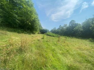 76040 Skullfork Rd, Freeport, OH 43973