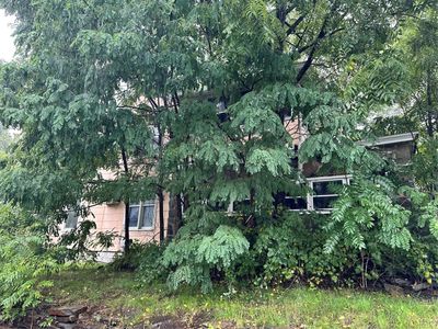 117 Walnut St, Binghamton, NY, 13905