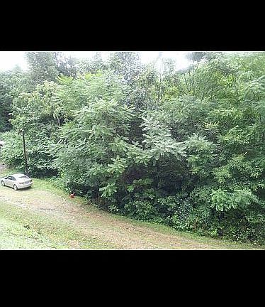 3rd image of Us Highway 119 Tan Yard Hl