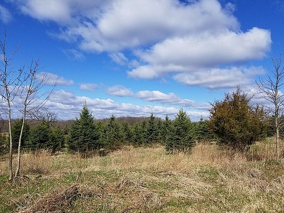 View from shared drive