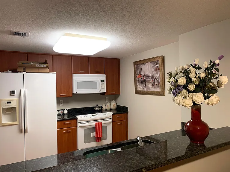 300 S Duval St #1709 — Photo 9