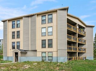 8100 Ryan Gulch Road UNIT 106, Wildernest, CO 80498