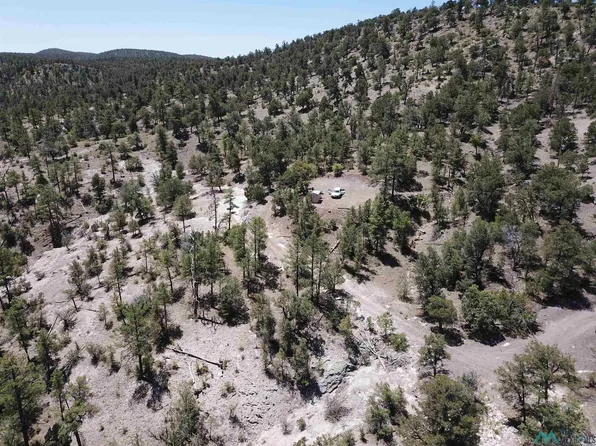 25 Poverty Creek Pines Rd, Winston, NM 87943