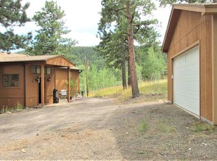 1369 S Pine Dr, Bailey, CO 80421