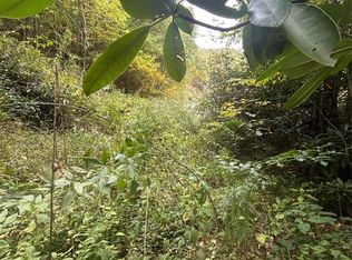 0 Wayah Zooshuga Rd, Maggie Valley, NC 28751