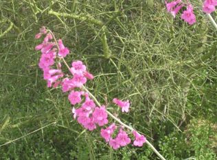 16101 W Chumblers Rd, Tucson, AZ 85736