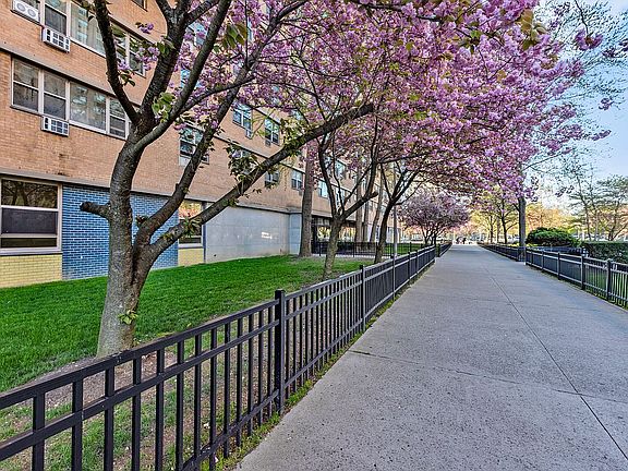 4th image of 458 Neptune Ave APT 2O