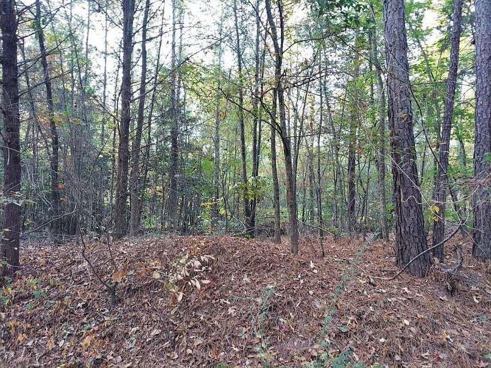 2nd image of 0 County Road 1587 #3A